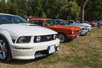Mustangs 1