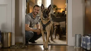 Pour rester avec le Malinois de mission, ce maître-chien l’adopte et lui offre une retraite dorée